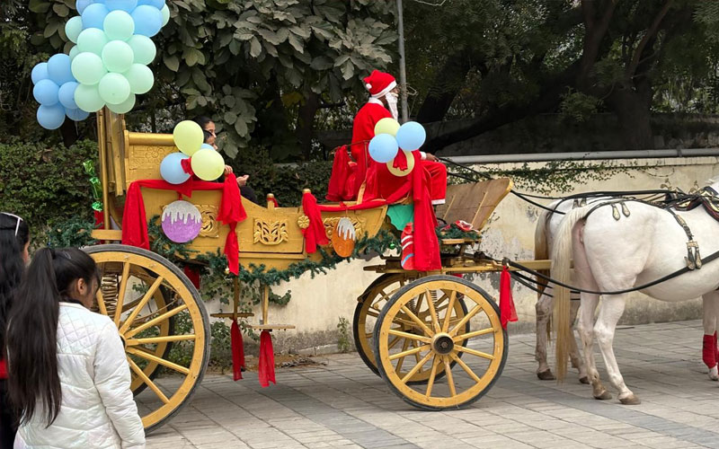 whimsical-wonderland-pic3