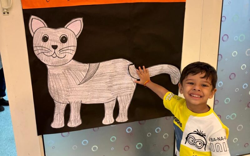 cat05